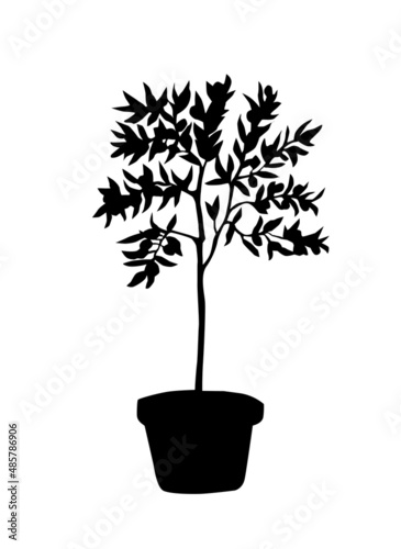 Line art of olive tree branch. On white background.