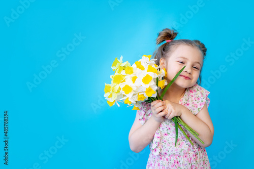 a little child girl on a blue isolated studio background with yellow spring flowers daffodils. Space for copying text. Cute kid