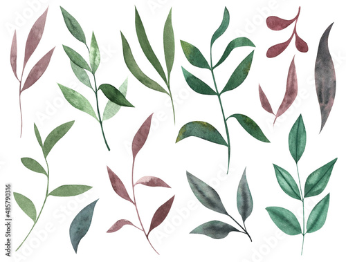 Set of watercolor leaves. Tender and cute branches. Elements for wedding invitations. Red and green leaves.