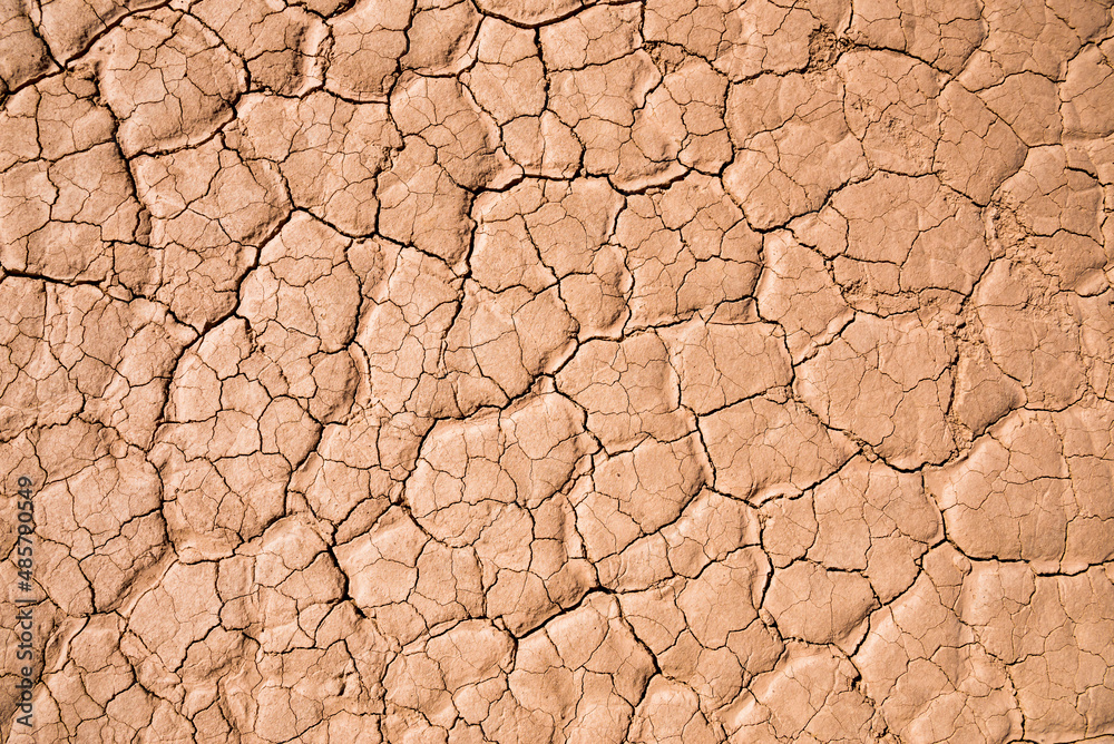 El Barreal Blanco de la Pampa del Leoncito, a dried river bed at Barreal, San Juan Province, Argentina, South America El Barreal Blanco de la Pampa del Leoncito, a dried river bed at Barreal, San Juan Province, Argentina, South America