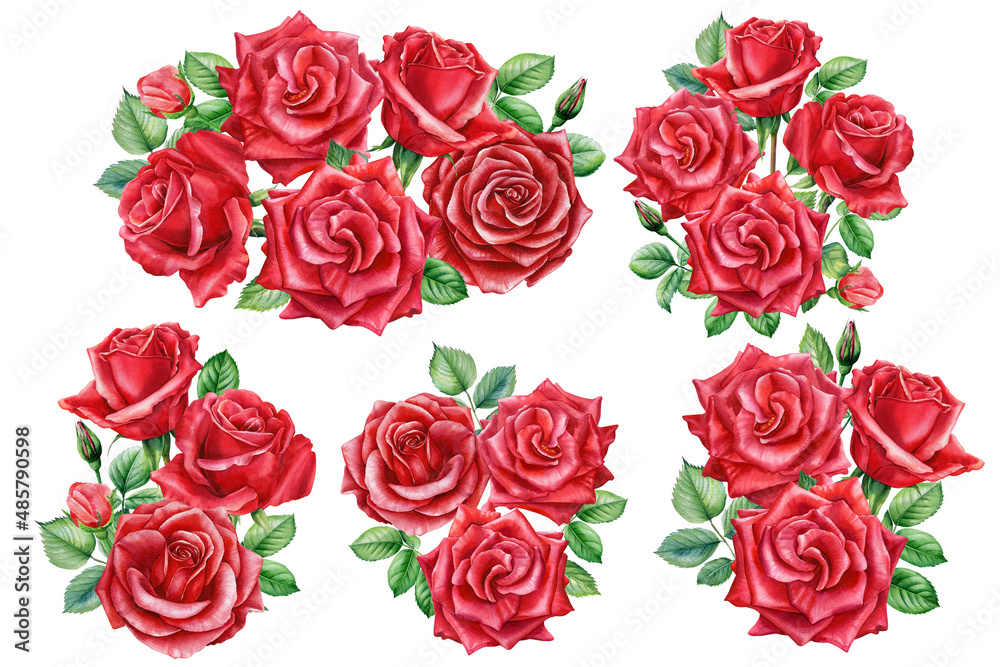 Naklejka premium bouquet red rose, beautiful flower on an isolated white background, watercolor botanical painting, floral design