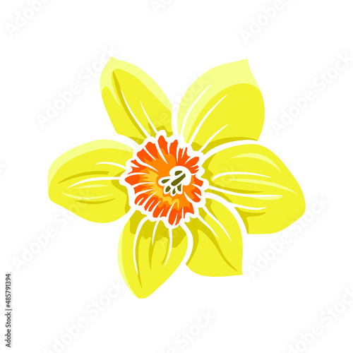 Single daffodil flower bud isolated on white background. Narcissus blooming head, yellow orange colored sketch. Vector element for spring or summer floral design, Easter illustration, colorful print.