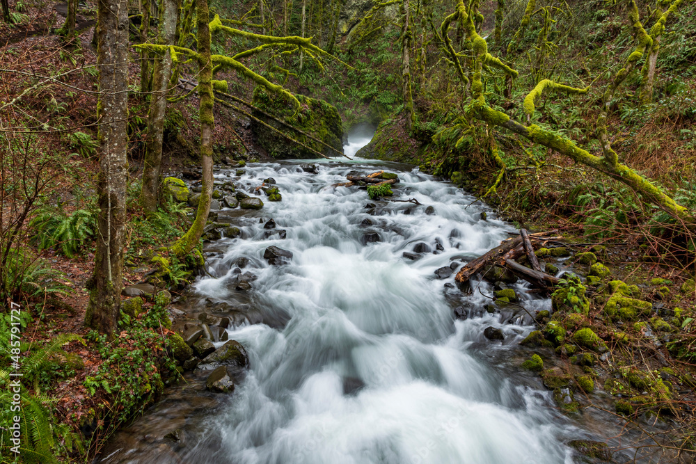 clear flowing water from Bridal Veil Falls State park in Oregon with green colored moss covered trees at the background. clear flowing water from Bridal Veil Falls State park in Oregon with green colored moss covered trees at the background.