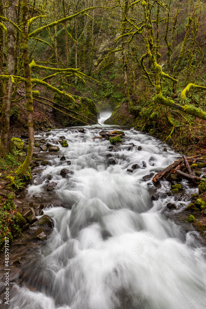 clear flowing water from Bridal Veil Falls State park in Oregon with green colored moss covered trees at the background.