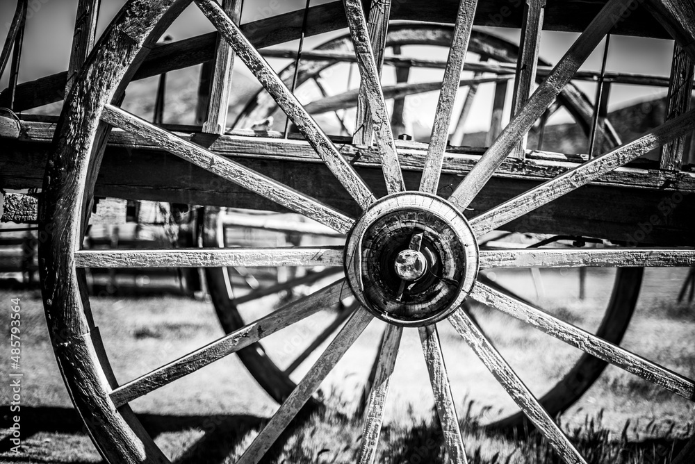 Wheel of an old horse cart on the farm at Estancia La Oriental, Perito Moreno National Park, Santa Cruz Province, Patagonia, Argentina, South America