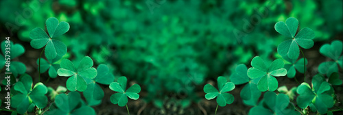 Leinwand Poster Green background with three-leaved shamrocks, Lucky Irish Four Leaf Clover in the Field for St