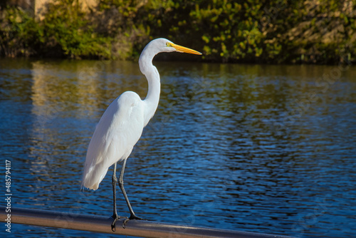 Exploring old town Melbourne Florida by the Indian river