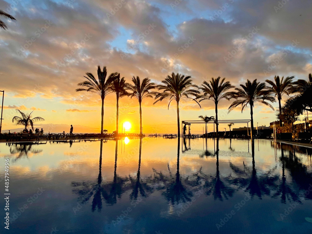 Sunset with palm trees on Tenerife.