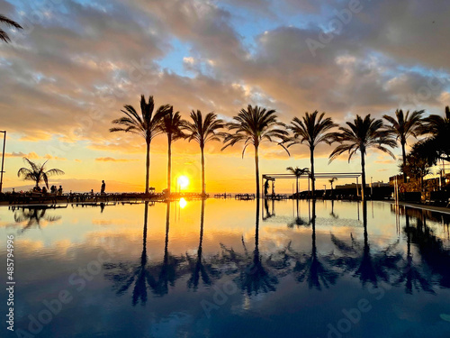 Fototapeta Naklejka Na Ścianę i Meble -  Sunset with palm trees on Tenerife.