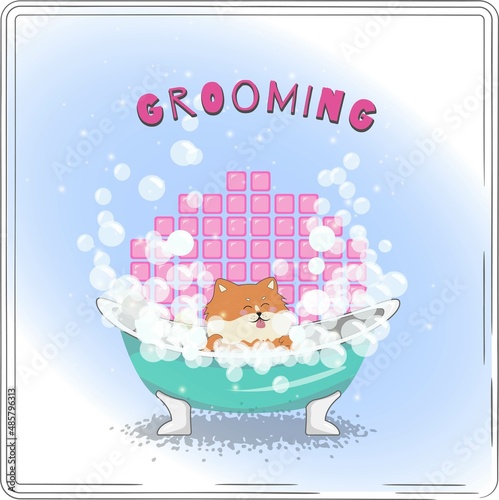 grooming pet
