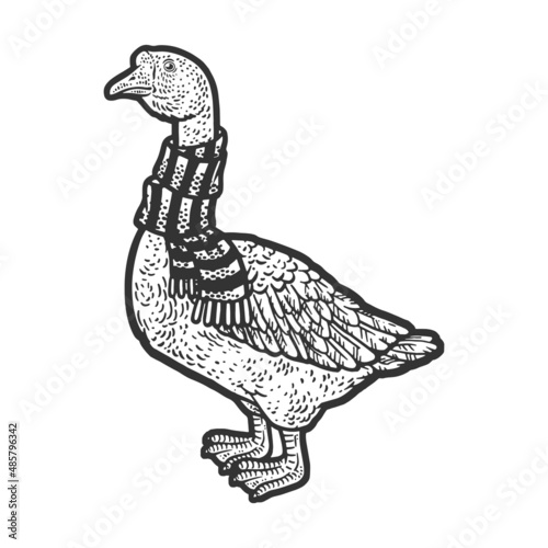 Goose in a scarf around his neck sketch engraving vector illustration. T-shirt apparel print design. Scratch board imitation. Black and white hand drawn image.