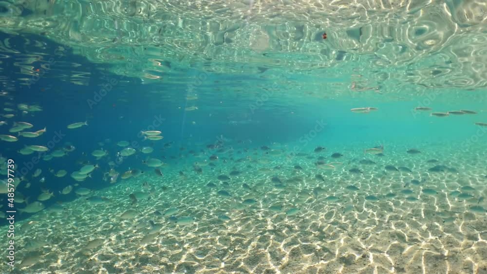 Underwater split video of famous bay and sandy turquoise beach of Fanari with crystal clear calm sea and rich aquatic life in Ionian island of Meganisi, Greece