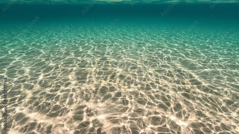 Beautiful underwater video of beautiful paradise seabed in sandy beach in tropical exotic island Beautiful underwater video of beautiful paradise seabed in sandy beach in tropical exotic island