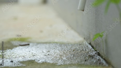 Droplets water from compressor drain hose when using the air conditioner with moss and wet moisture plant.