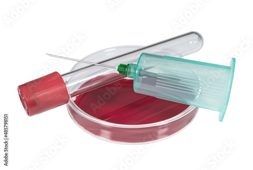 Vacutainer with vacuum test tube for collection blood on a Petri dish photo