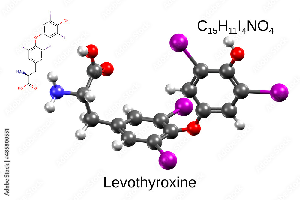 Chemical formula, skeletal formula and 3D ball-and-stick model of human thyroid hormone, levothyroxine, white background Chemical formula, skeletal formula and 3D ball-and-stick model of human thyroid hormone, levothyroxine, white background
