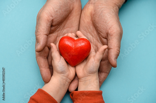 Fototapeta Naklejka Na Ścianę i Meble -  A red heart in the hands of a father and a child. valentine's day. Mother's Day. Love and care .