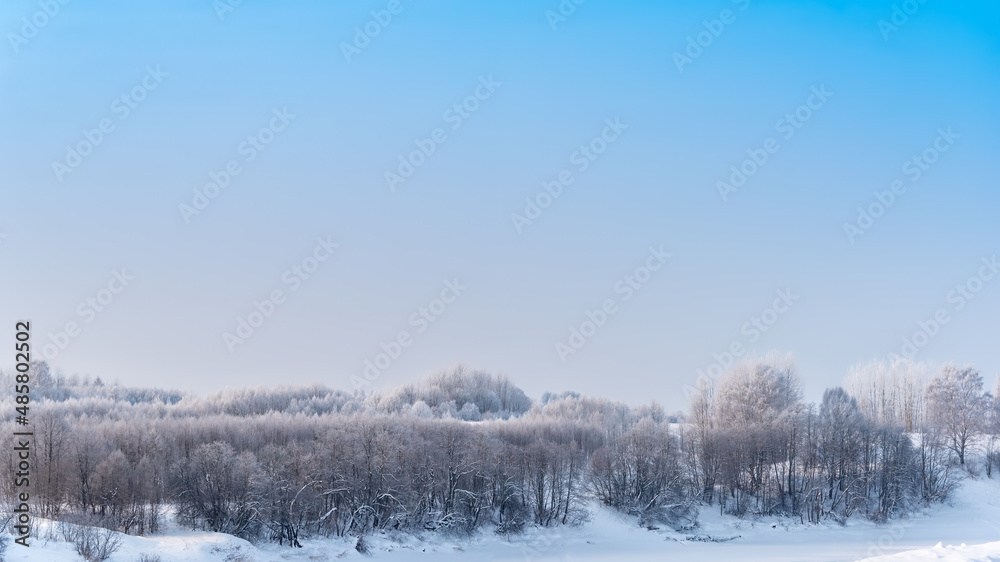 Landscape with winter forest covered with snow. Landscape with winter forest covered with snow.