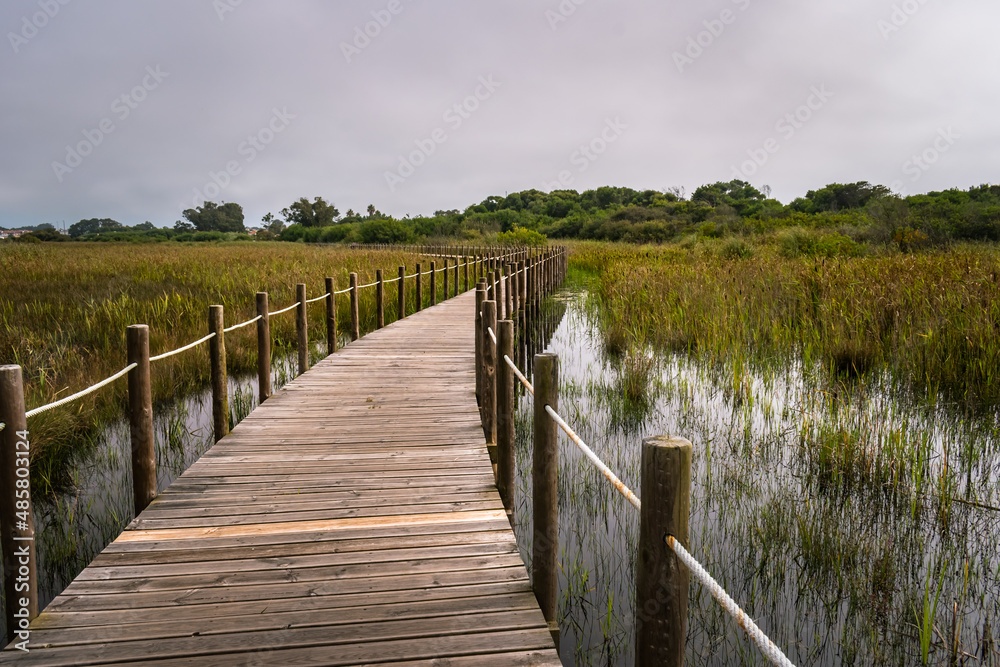 Fototapeta premium Wooden stakes in perspective and reflected in the water flanking a walkway with wild vegetation in Barrinha de Esmoriz, PORTUGAL