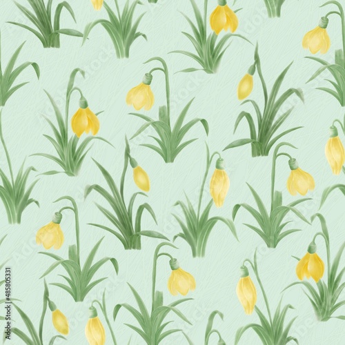 Seamless patterns of yellow snowdrop flowers on a light green background