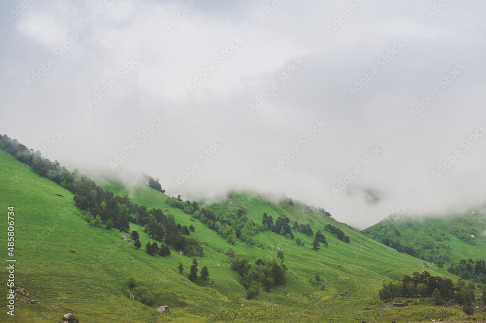 Beautiful landscape with meadow valley and fog clouds