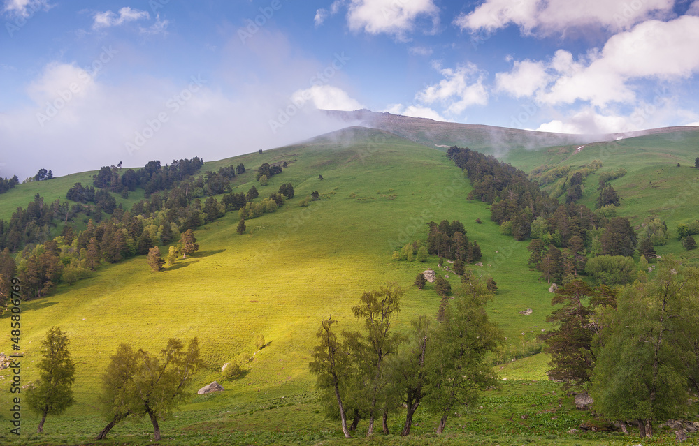 Beautiful landscape with meadow valley and blue clouds