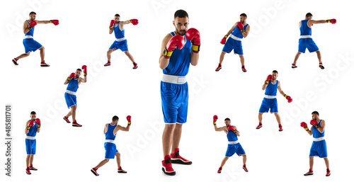 Strong fists. One professional boxer in blue uniform training isolated over white background