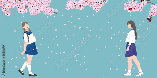 Two high school girls in sailor uniforms walking along the cherry blossom road in full bloom. vector illustration, entrance ceremony, new semester, 