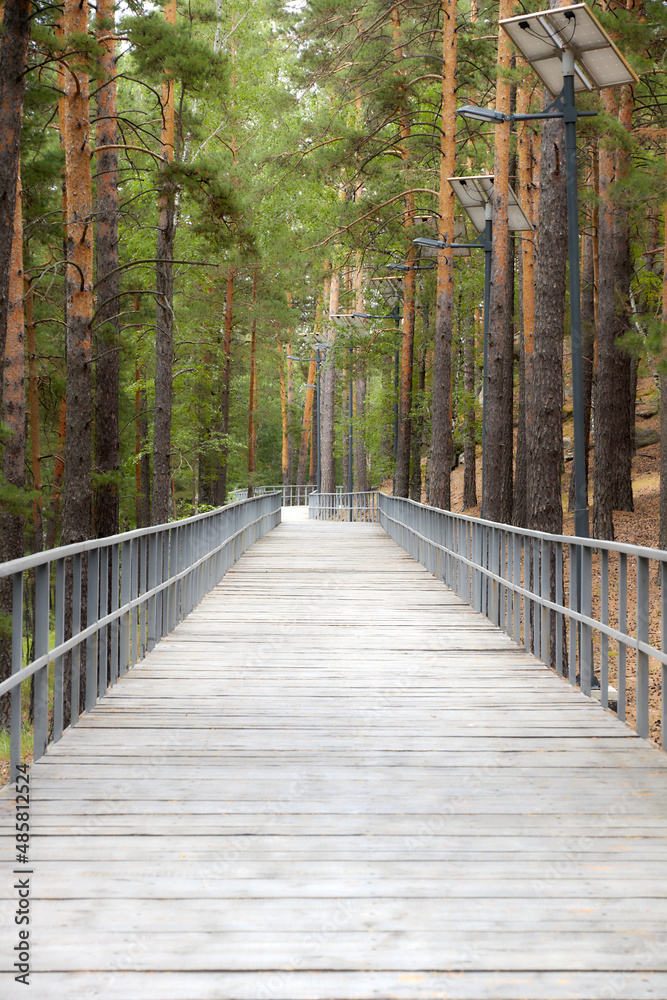 walking and cycling paths in the forest