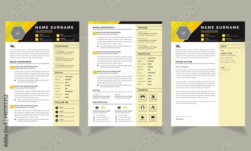 Infographic Resume Template Black and Yellow Best cv format