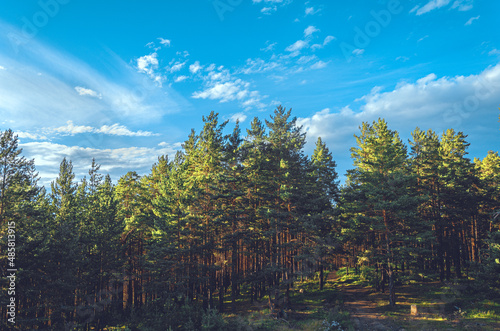 lake in the forest