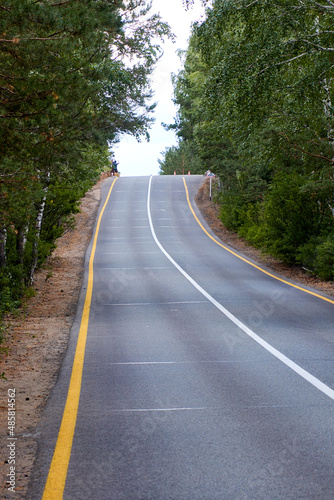 asphalted highway running through the pine forest