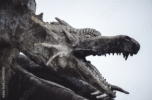 dragon