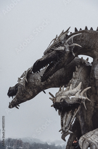 dragon