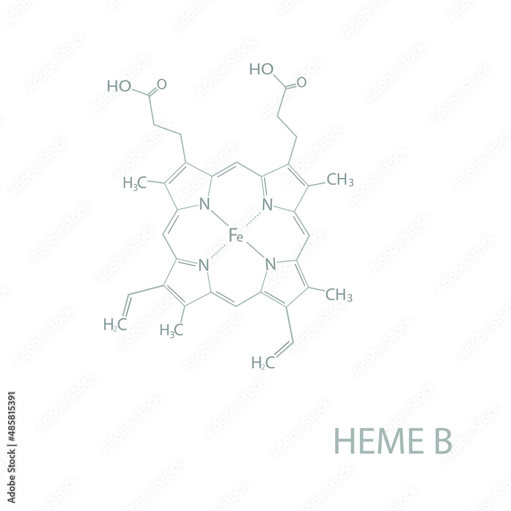 Heme B molecular skeletal chemical formula.	