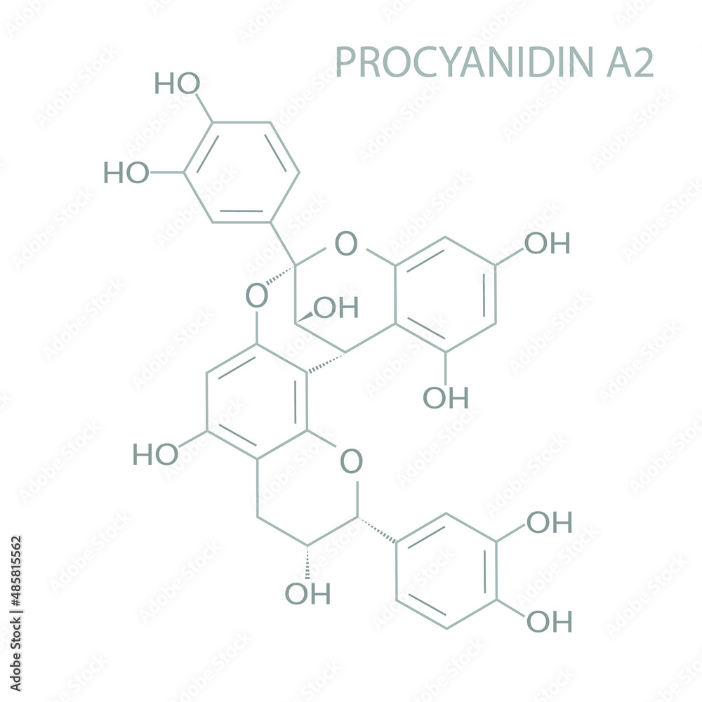 Procyanidin A2 molecular skeletal chemical formula. Procyanidin A2 molecular skeletal chemical formula.