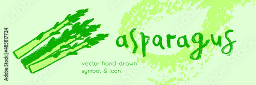 Vector asparagus icon. Pencil textures. Green sparrow grass illustration isolated. Vegan restaurant logo, vegetarian symbol. Cooking sign. Vegetable drawing for label. Word asparagus hand-lettering.