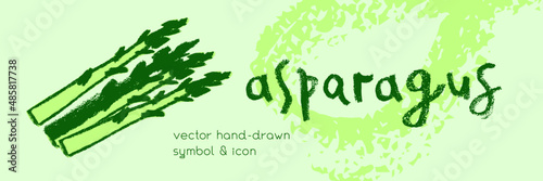 Vector asparagus icon. Pencil textures. Green sparrow grass illustration isolated. Vegan restaurant logo, vegetarian symbol. Cooking sign. Vegetable drawing for label. Word asparagus hand-lettering.