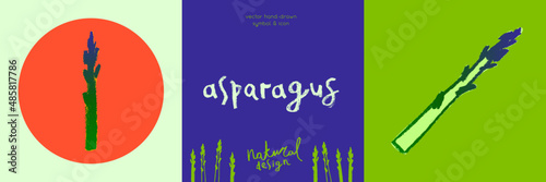 Vector asparagus icon. Pencil textures. Green sparrow grass illustration isolated. Vegan restaurant logo, vegetarian symbol. Cooking sign. Vegetable drawing for label. Word asparagus hand-lettering.