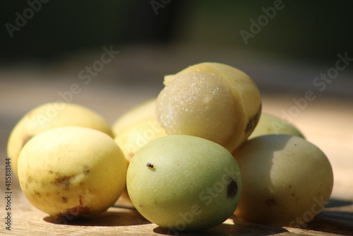 Fototapeta Naklejka Na Ścianę i Meble -  African marula fruits