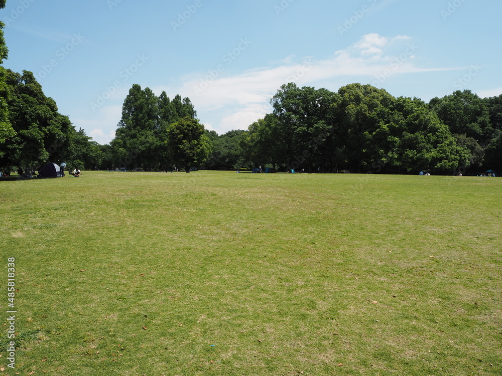 Obraz premium a large park with lawns in Japan