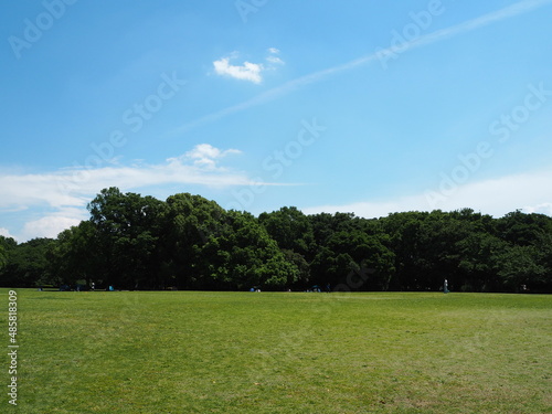 a large park with lawns in Japan