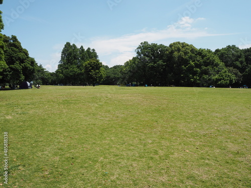 a large park with lawns in Japan