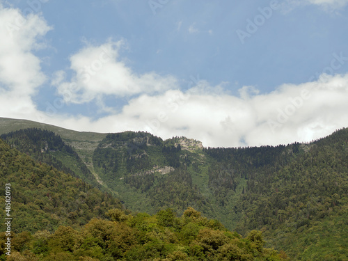 A green mountain range with forested rocks against a blue sky and clouds. Mountain valley on a summer day