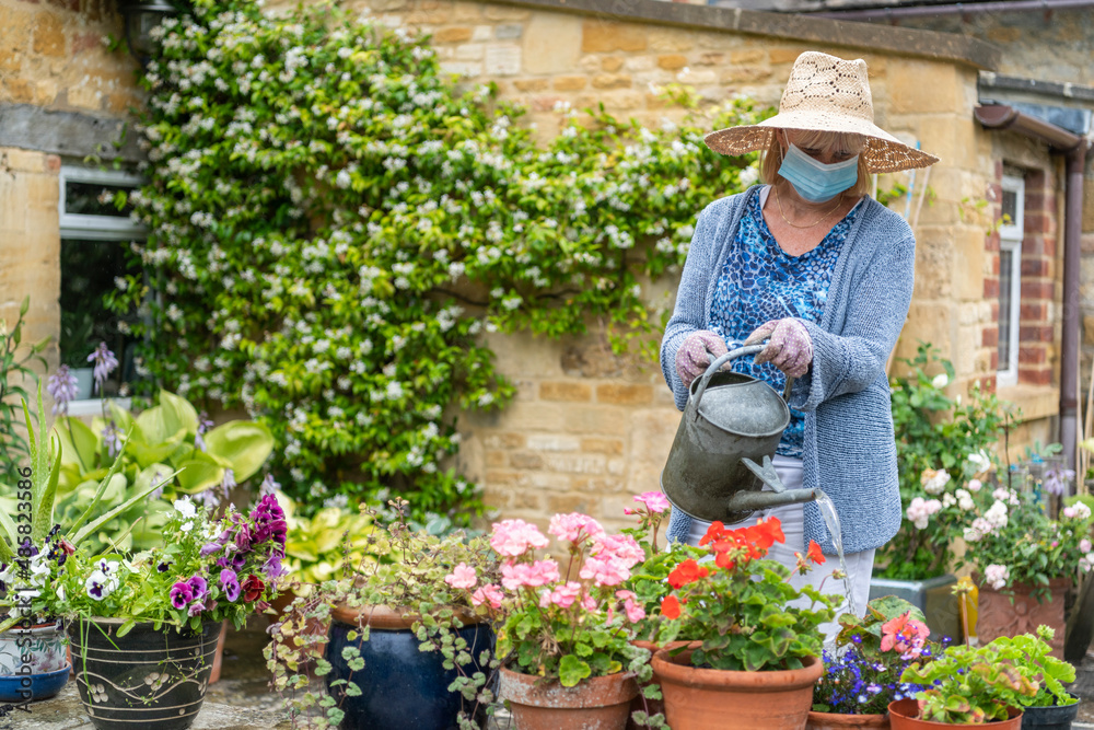 Woman watering plants and flowers in the garden wearing a face mask covering during Coronavirus Covid-19 pandemic in lockdown Woman watering plants and flowers in the garden wearing a face mask covering during Coronavirus Covid-19 pandemic in lockdown