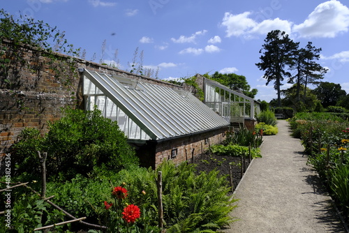 greenhouse garden summer 