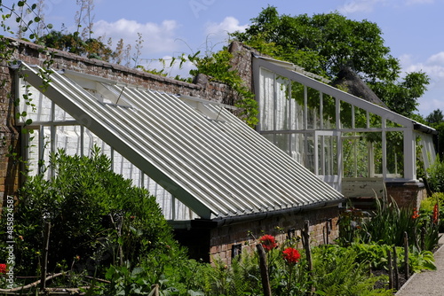 greenhouse garden summer 