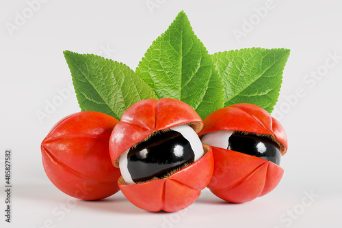 Guarana with leaves, exotic fruit from the Amazon