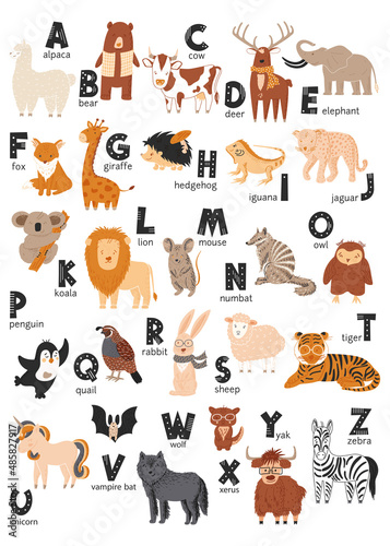 Fototapeta Naklejka Na Ścianę i Meble -  Animal alphabet. Cute vector zoo alphabet poster with cartoon animals. Set of children's ABC elements in a hand-drawn style.