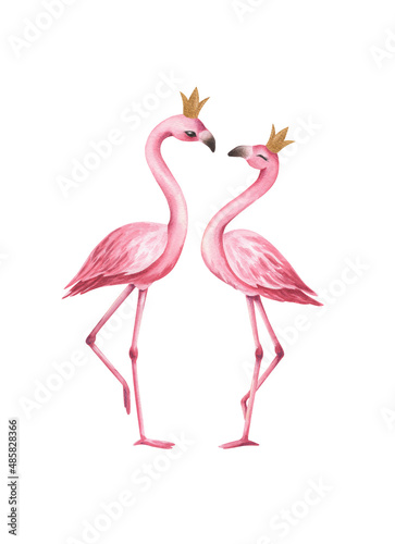 Watercolor illustration of a pink couple flamingo.